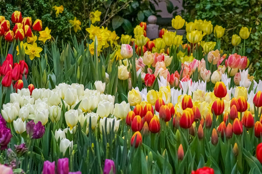 Spring 2026 Home & Garden Trending Items: Refresh Your Space with the Latest Must-Haves