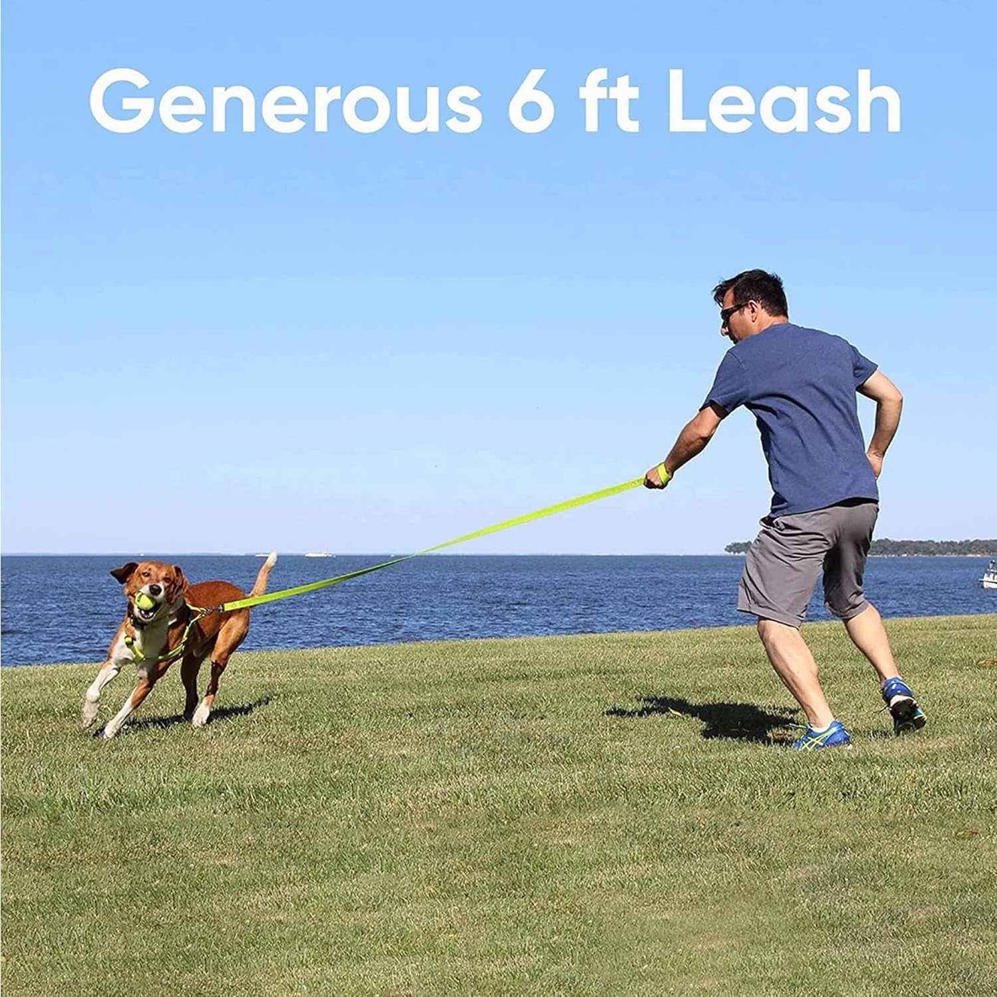 Solid 6 Ft Green Nylon Dog Leash With Custom Name And Phone Embroidery ML