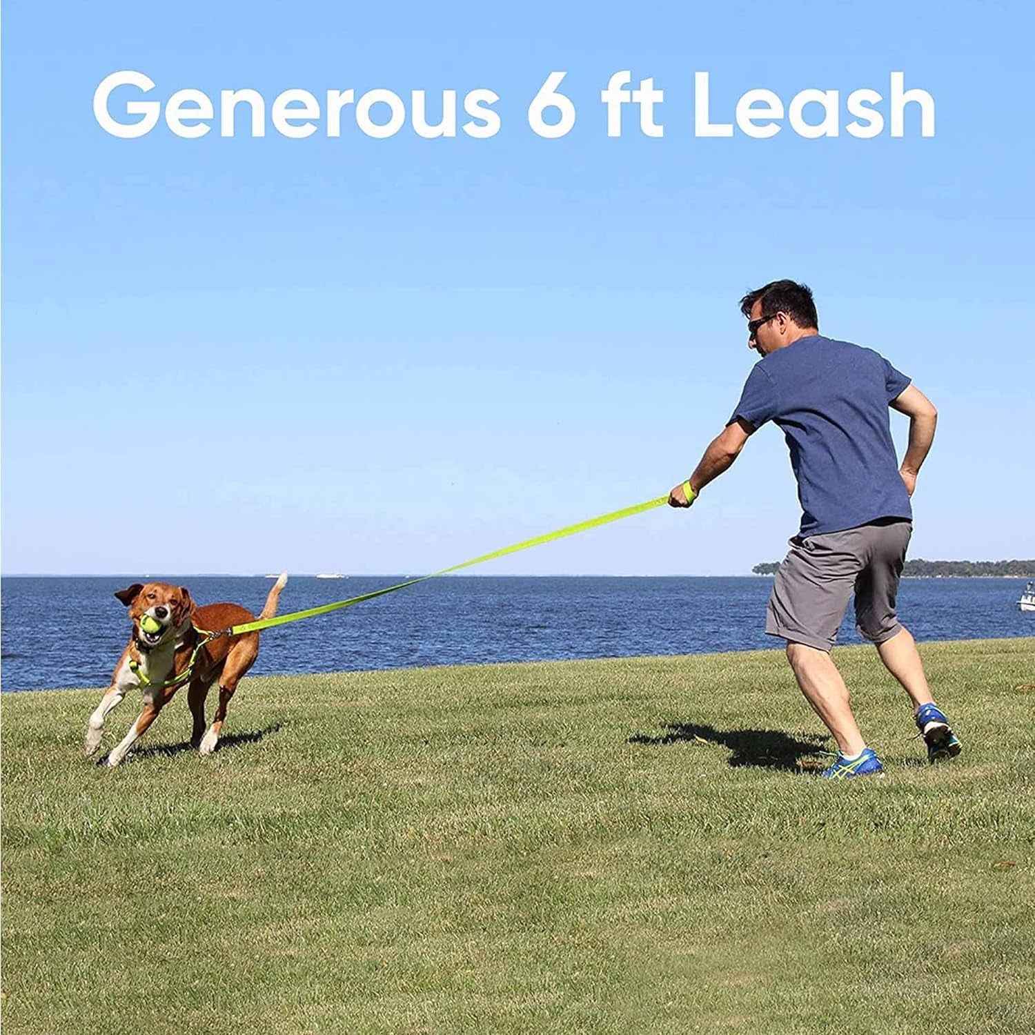 Solid 6 Ft Green Nylon Dog Leash With Custom Name And Phone Embroidery ML