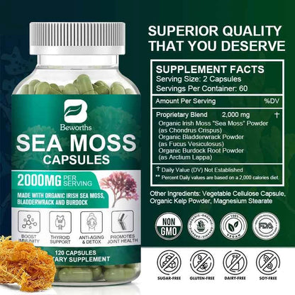 Beworths Organic Sea Moss Pills 120 Count For Immune Support And Thyroid Health