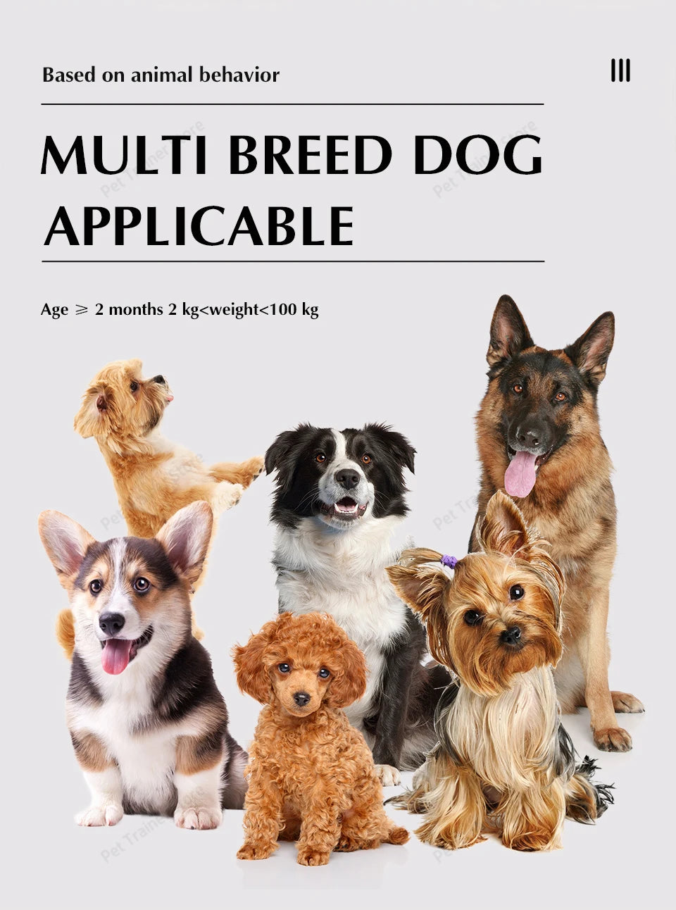 2 IN 1 Wireless Electronic Dog Fence System & Remote Training Collar Beep Shock Vibration and Pet Containment For All Size Puppy