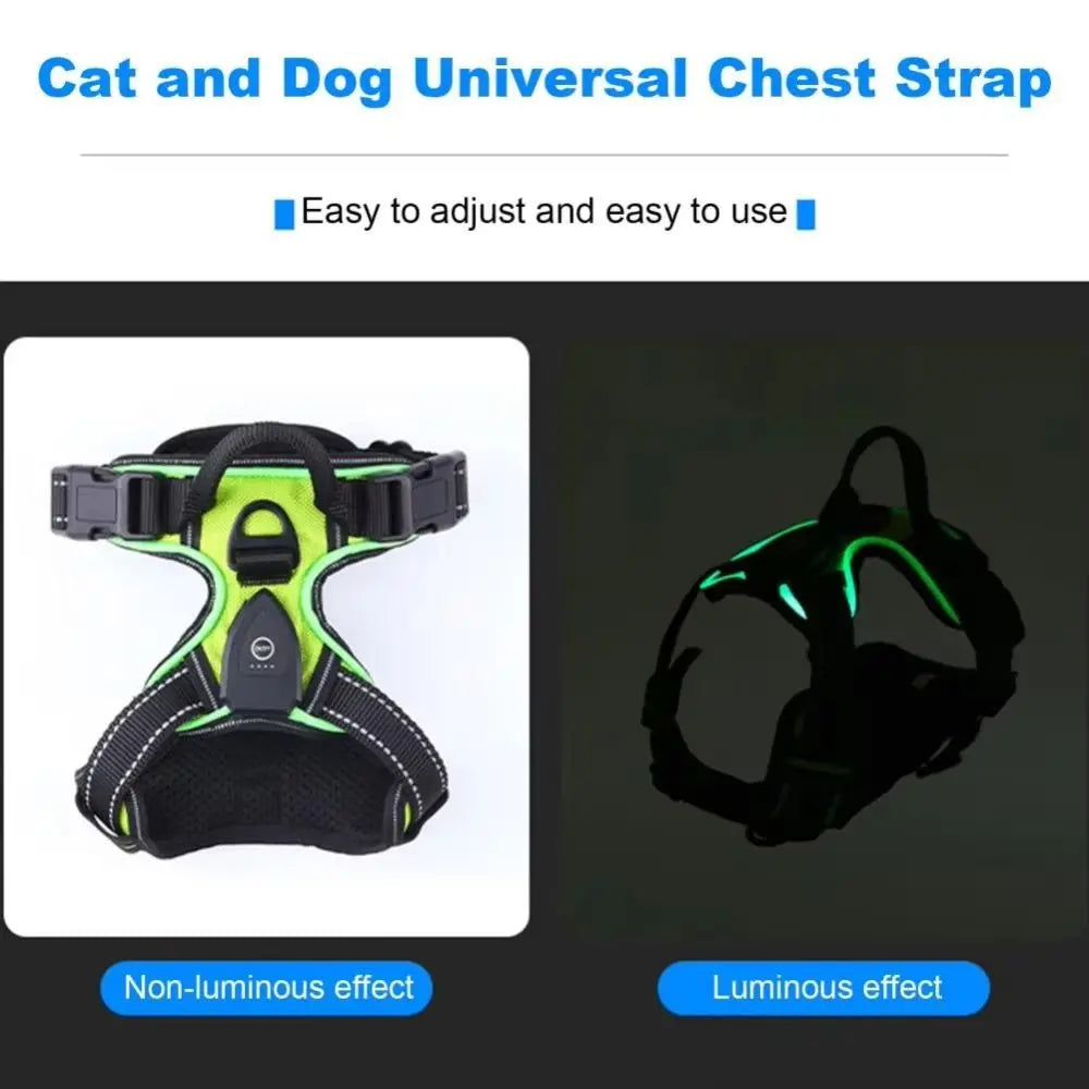 Light Up LED Dog Harness Rechargeable Adjustable Luminous Pet Chest Strap Soft Flashing Dog Glow Vest for Night Walking