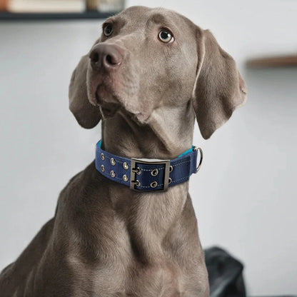Durable Tactical Dog Collar for Medium to Large Dogs, Adjustable Heavy-Duty Nylon Webbing, Quick Release, Zinc Alloy Metal Buck
