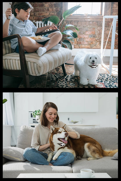 2 IN 1 Wireless Electronic Dog Fence System & Remote Training Collar Beep Shock Vibration and Pet Containment For All Size Puppy