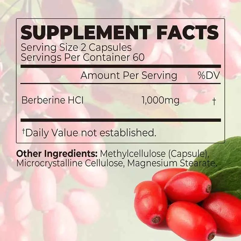 Berberine Capsules For Immune Support Digestion Energy And Anti Aging