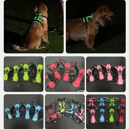 Light Up LED Dog Harness Rechargeable Adjustable Luminous Pet Chest Strap Soft Flashing Dog Glow Vest for Night Walking