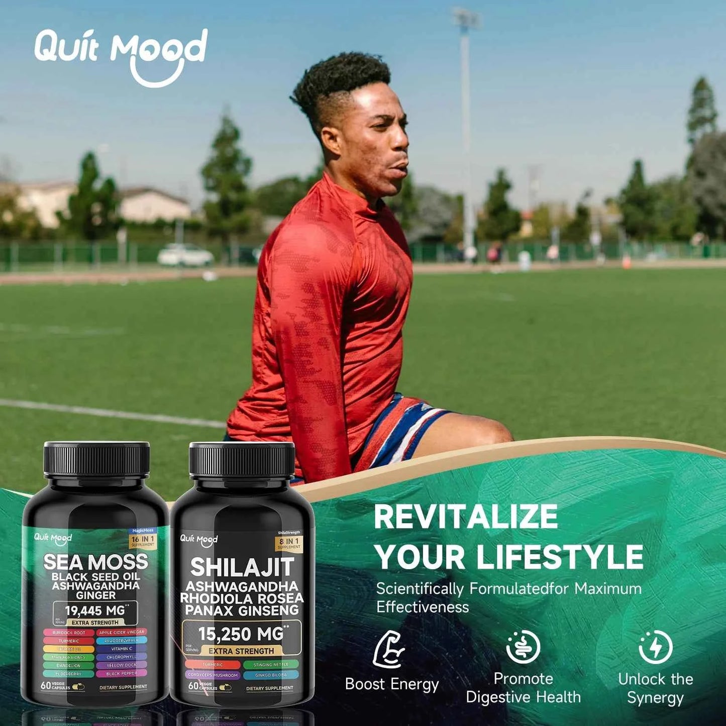Sea Moss And Shilajit Bundle 120 Capsules High Potency Vitality Ginger Vitamin C