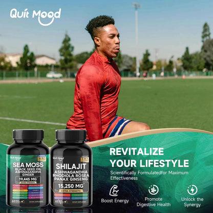 Sea Moss And Shilajit Bundle 120 Capsules High Potency Vitality Ginger Vitamin C
