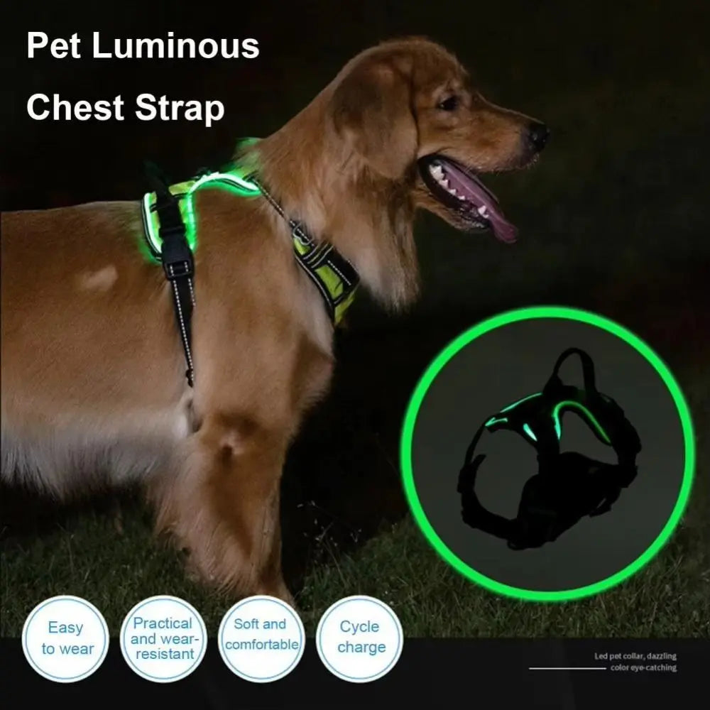 Light Up LED Dog Harness Rechargeable Adjustable Luminous Pet Chest Strap Soft Flashing Dog Glow Vest for Night Walking