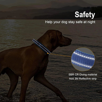 Durable Tactical Dog Collar for Medium to Large Dogs, Adjustable Heavy-Duty Nylon Webbing, Quick Release, Zinc Alloy Metal Buck