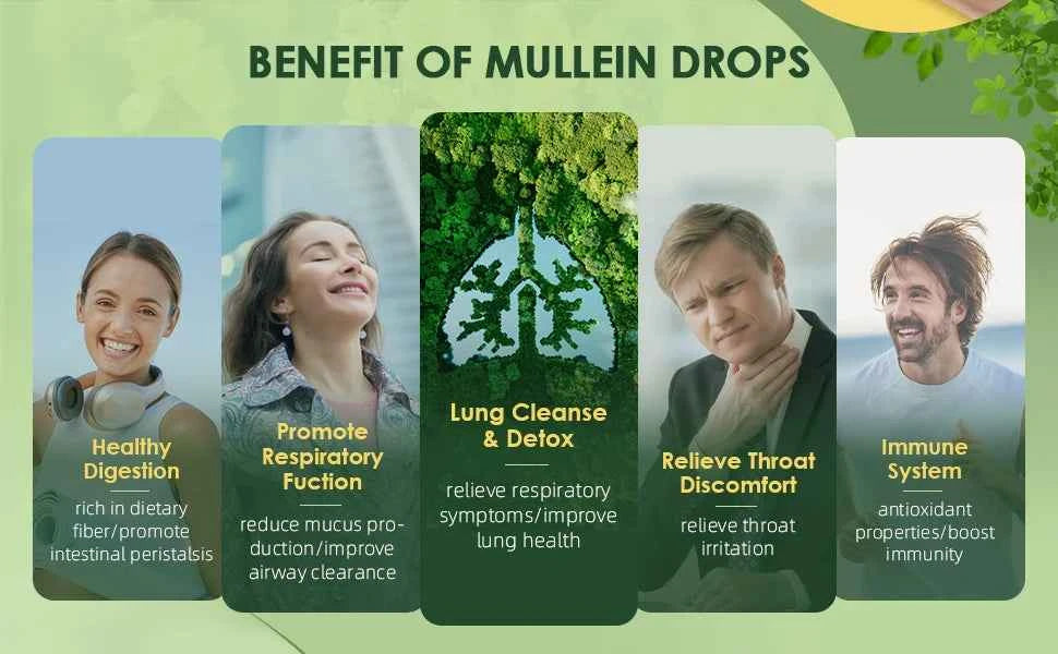 Mullein Drops For Lungs Mullein Leaf Extract Lung Detox And Cleanse Support