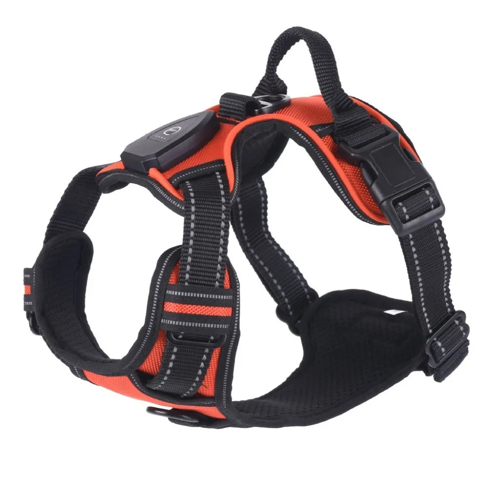 Light Up LED Dog Harness Rechargeable Adjustable Luminous Pet Chest Strap Soft Flashing Dog Glow Vest for Night Walking