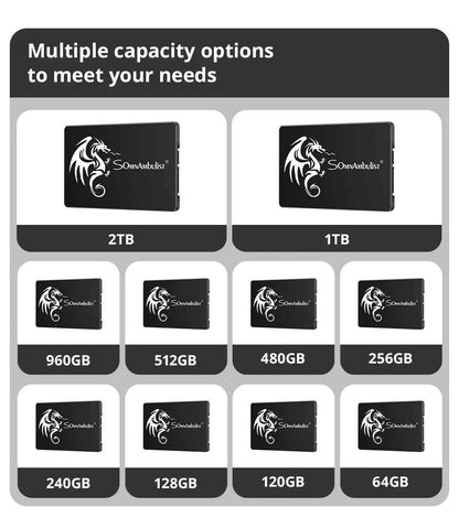 SomnAmbulist 2.5 Inch SSD SATA III Solid State Drive 128GB To 2TB