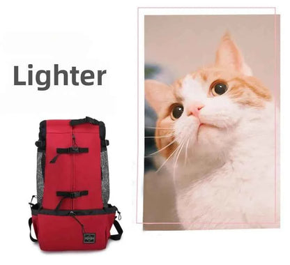 Breathable Adjustable Washable Pet Backpack Carrier For Medium Dogs Polyester