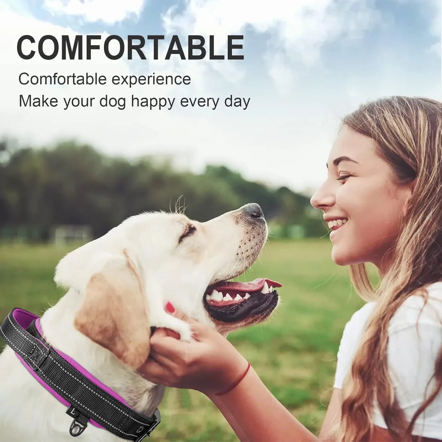 Durable Tactical Dog Collar for Medium to Large Dogs, Adjustable Heavy-Duty Nylon Webbing, Quick Release, Zinc Alloy Metal Buck