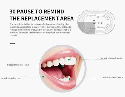 Electric Ultrasonic Toothbrush Six Speed Mode Home Soft Hair USB Charging Waterproof Adult Tooth Cleaner Automatic Couple Set