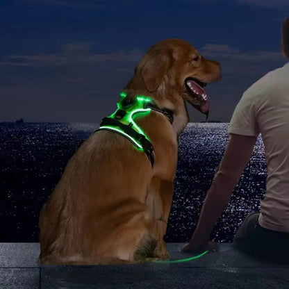 Light Up LED Dog Harness Rechargeable Adjustable Luminous Pet Chest Strap Soft Flashing Dog Glow Vest for Night Walking
