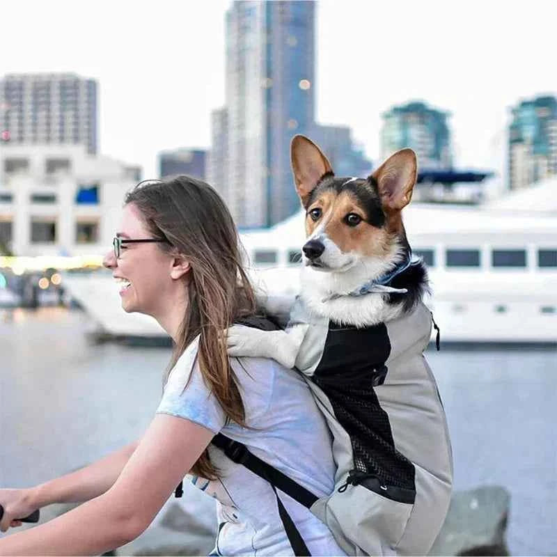Breathable Adjustable Washable Pet Backpack Carrier For Medium Dogs Polyester