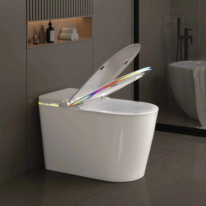 Smart Bidet Toilet Seat Heated Seat Self-Cleaning Nozzle Foam Shield Automatic Lid LED Display Remote Control for Kids Adults
