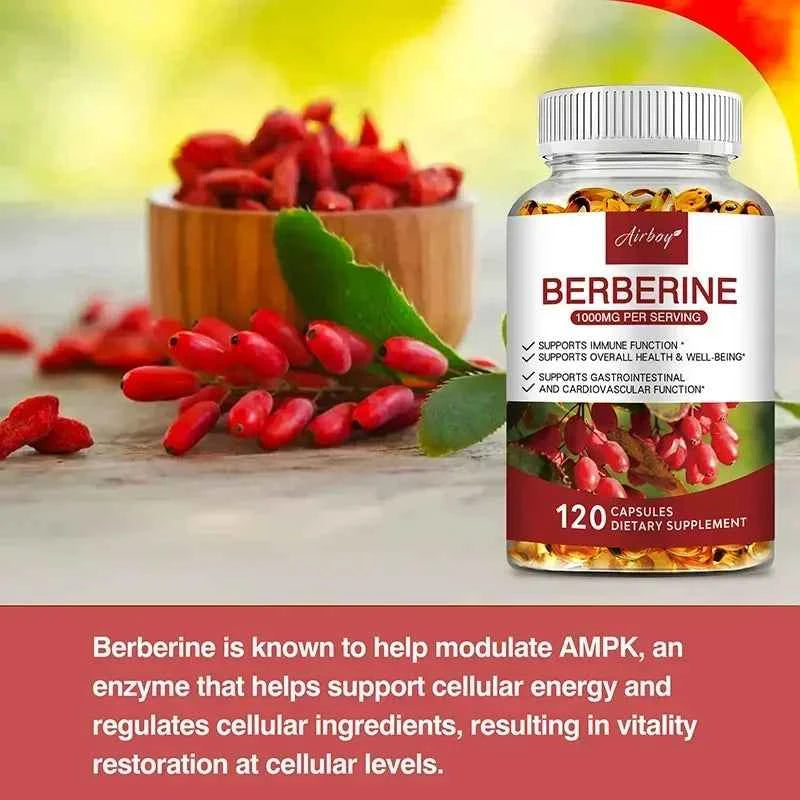 Berberine Capsules For Immune Support Digestion Energy And Anti Aging