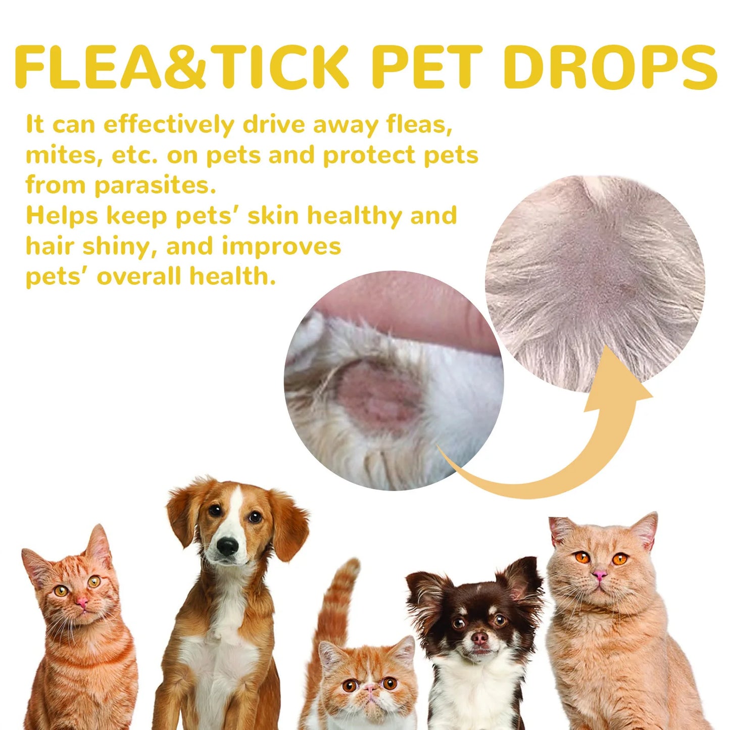 Yegbong Pet External Insect Repellent Drops - Flea Tick Lice Mite Killer for Dogs Cats - Skin Antipruritic Care