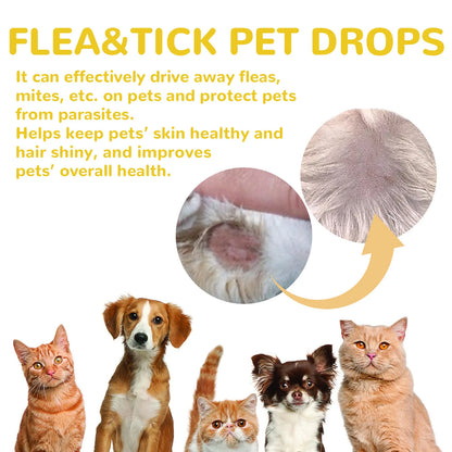 Yegbong Pet External Insect Repellent Drops - Flea Tick Lice Mite Killer for Dogs Cats - Skin Antipruritic Care