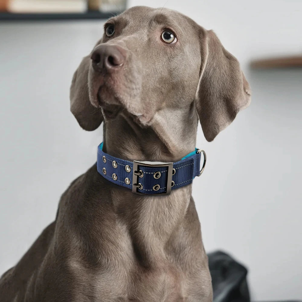 Durable Tactical Dog Collar for Medium to Large Dogs, Adjustable Heavy-Duty Nylon Webbing, Quick Release, Zinc Alloy Metal Buck
