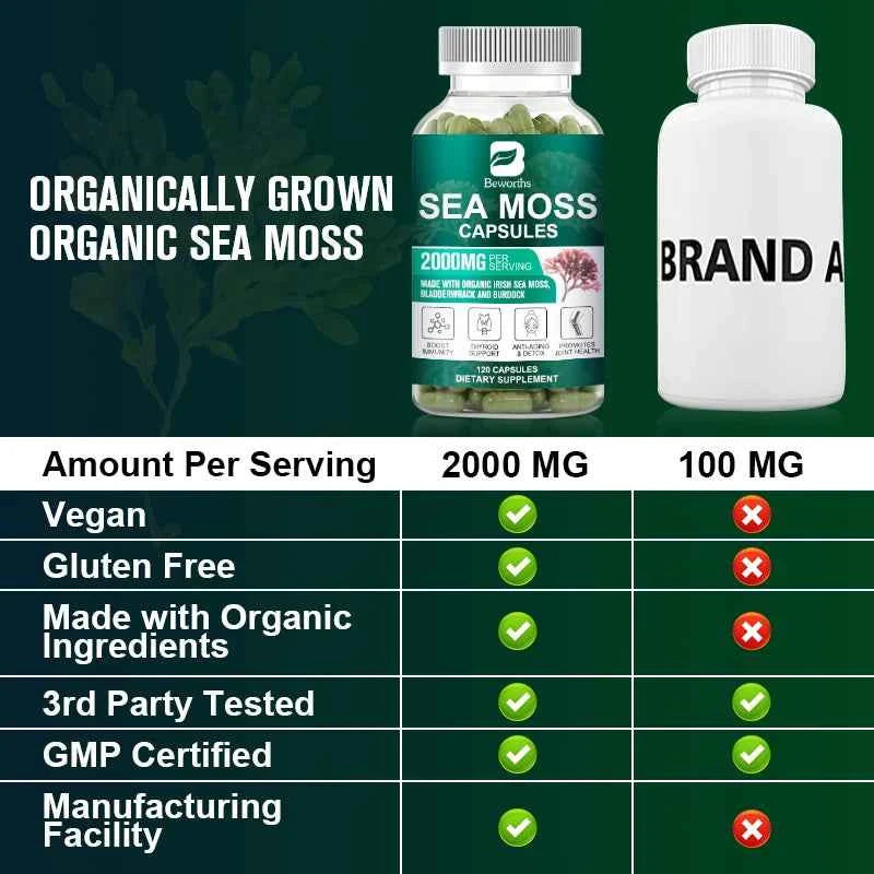 Beworths Organic Sea Moss Pills 120 Count For Immune Support And Thyroid Health