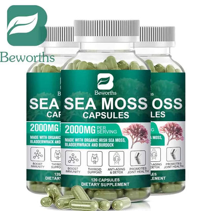 Beworths Organic Sea Moss Pills 120 Count For Immune Support And Thyroid Health