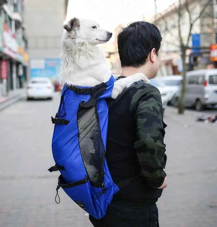Breathable Adjustable Washable Pet Backpack Carrier For Medium Dogs Polyester