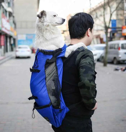 Breathable Adjustable Washable Pet Backpack Carrier For Medium Dogs Polyester