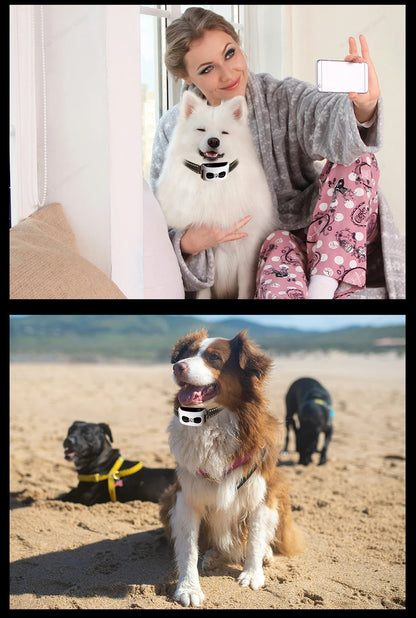 2 IN 1 Wireless Electronic Dog Fence System & Remote Training Collar Beep Shock Vibration and Pet Containment For All Size Puppy