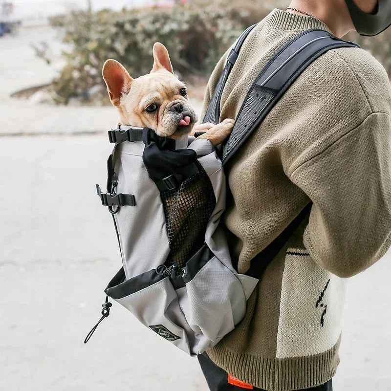 Breathable Adjustable Washable Pet Backpack Carrier For Medium Dogs Polyester