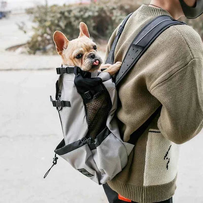 Breathable Adjustable Washable Pet Backpack Carrier For Medium Dogs Polyester