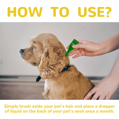 Yegbong Pet External Insect Repellent Drops - Flea Tick Lice Mite Killer for Dogs Cats - Skin Antipruritic Care