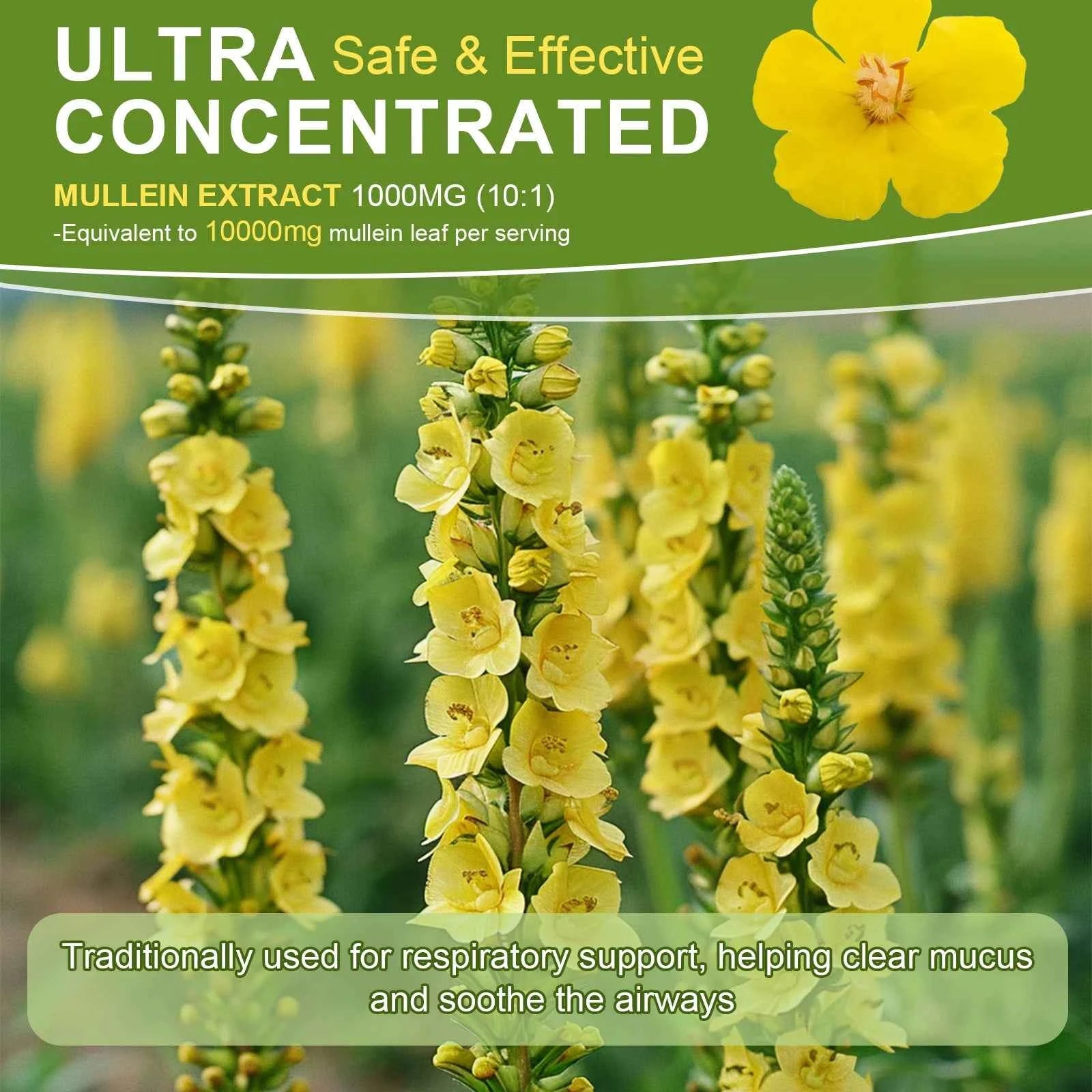 Mulittea Mullein Drops Lung Detox And Immunity Support 60ml Herbal Extract