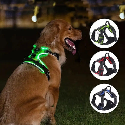 Light Up LED Dog Harness Rechargeable Adjustable Luminous Pet Chest Strap Soft Flashing Dog Glow Vest for Night Walking