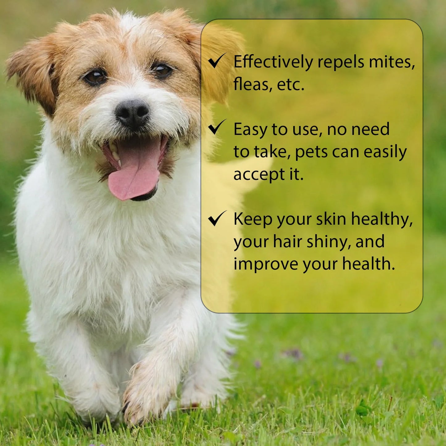 Yegbong Pet External Insect Repellent Drops - Flea Tick Lice Mite Killer for Dogs Cats - Skin Antipruritic Care