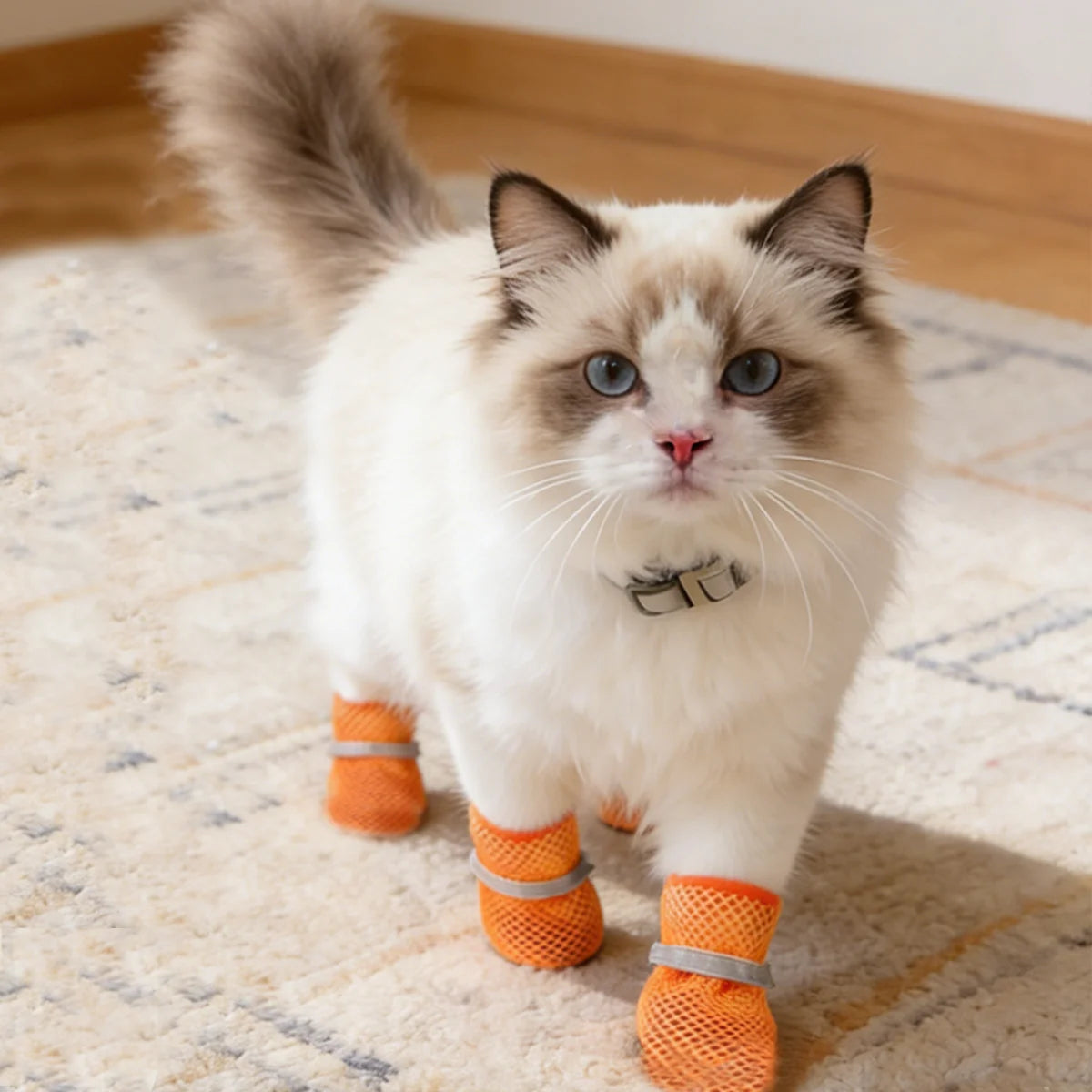 Pet Breathable Shoes Lightweight Breathable Mesh Dog Boots Anti-slip Soles Protecting Paws, Suitable Small To Medium-sized Pet.