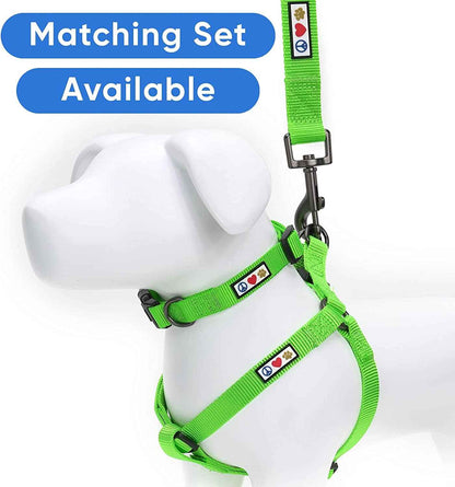 Solid 6 Ft Green Nylon Dog Leash With Custom Name And Phone Embroidery ML